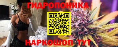 ПСИЛОЦИБИНОВЫЕ ГРИБЫ Краснодар
